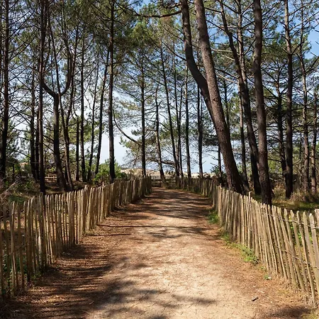 Maison Landaise Renovee, 6 Pers: Proche Lac, Plage, Surf, Jardin, Terrasse, Velos Et Menage Inclus - Fr-1-319-545 Holiday home